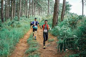 BIB: 
                            <button type="button" onclick="openModal(25654187)" class="btn btn-primary btn-sm float-right btn-popup" data-toggle="modal" data-target=".modal-high-quality">
                        <i class="fas fa-shopping-cart"></i> Add to Cart
                    </button>
                                            <button type="button" onclick="isThisMe(25654187, true)" class="btn btn-success btn-sm float-right btn-popup btn-isme hidden" data-toggle="tooltip" data-placement="bottom" title="นี่คือรูปของคุณใช่ไหม คลิกที่นี่เพื่อเอาเข้าอัลบั้ม">
                        <i class="fas fa-plus"></i> Add to album
                    </button>
                    <button type="button" onclick="isThisMe(25654187, false)" class="btn btn-warning btn-sm float-right btn-popup btn-isnotme hidden">
                        <i class="fas fa-ban"></i> Remove from album
                    </button>